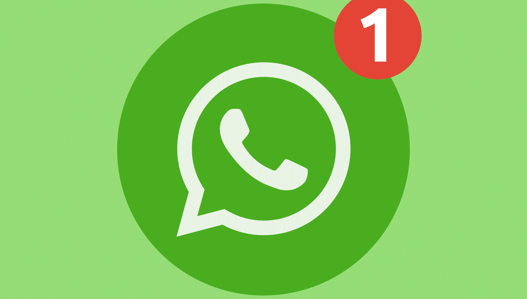How to find users on WhatsApp? Activate WhatsApp filtering in one step.